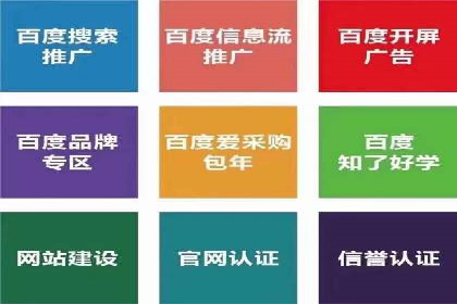 案例分享：竞价推广代运营助力企业拓展海外市场
